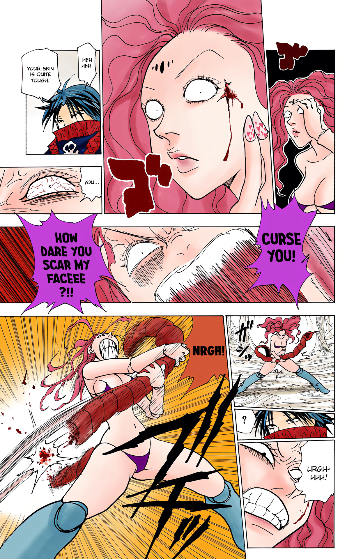 Halaman dari HUNTER x HUNTER (Official Colored) Chapter 228