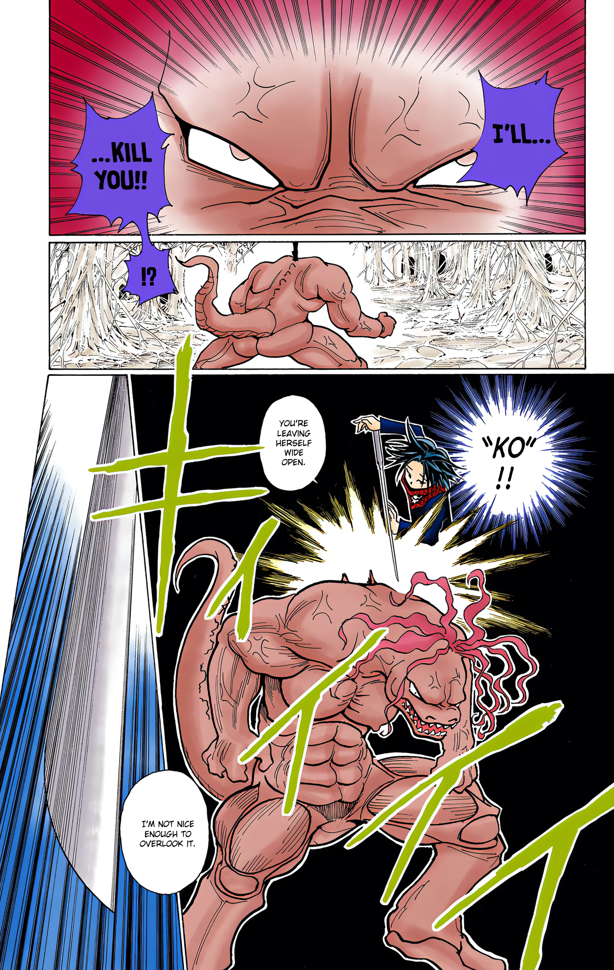 Halaman dari HUNTER x HUNTER (Official Colored) Chapter 228