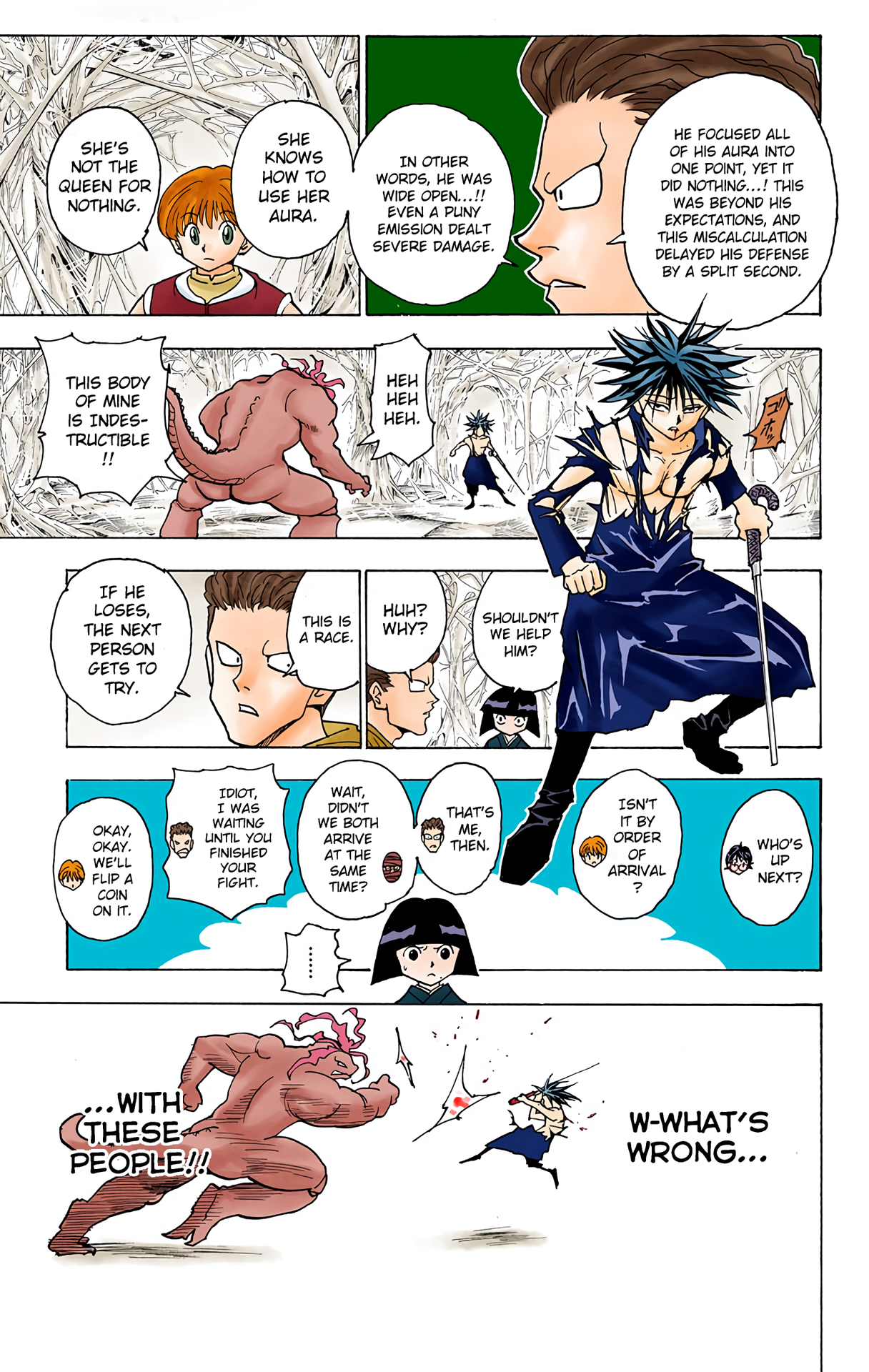 Halaman dari HUNTER x HUNTER (Official Colored) Chapter 228