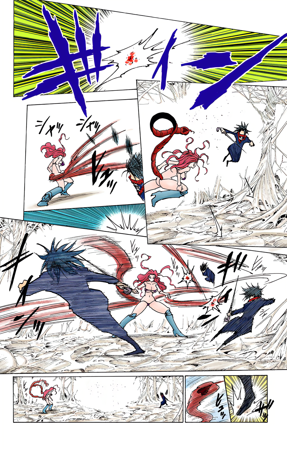 Halaman dari HUNTER x HUNTER (Official Colored) Chapter 228