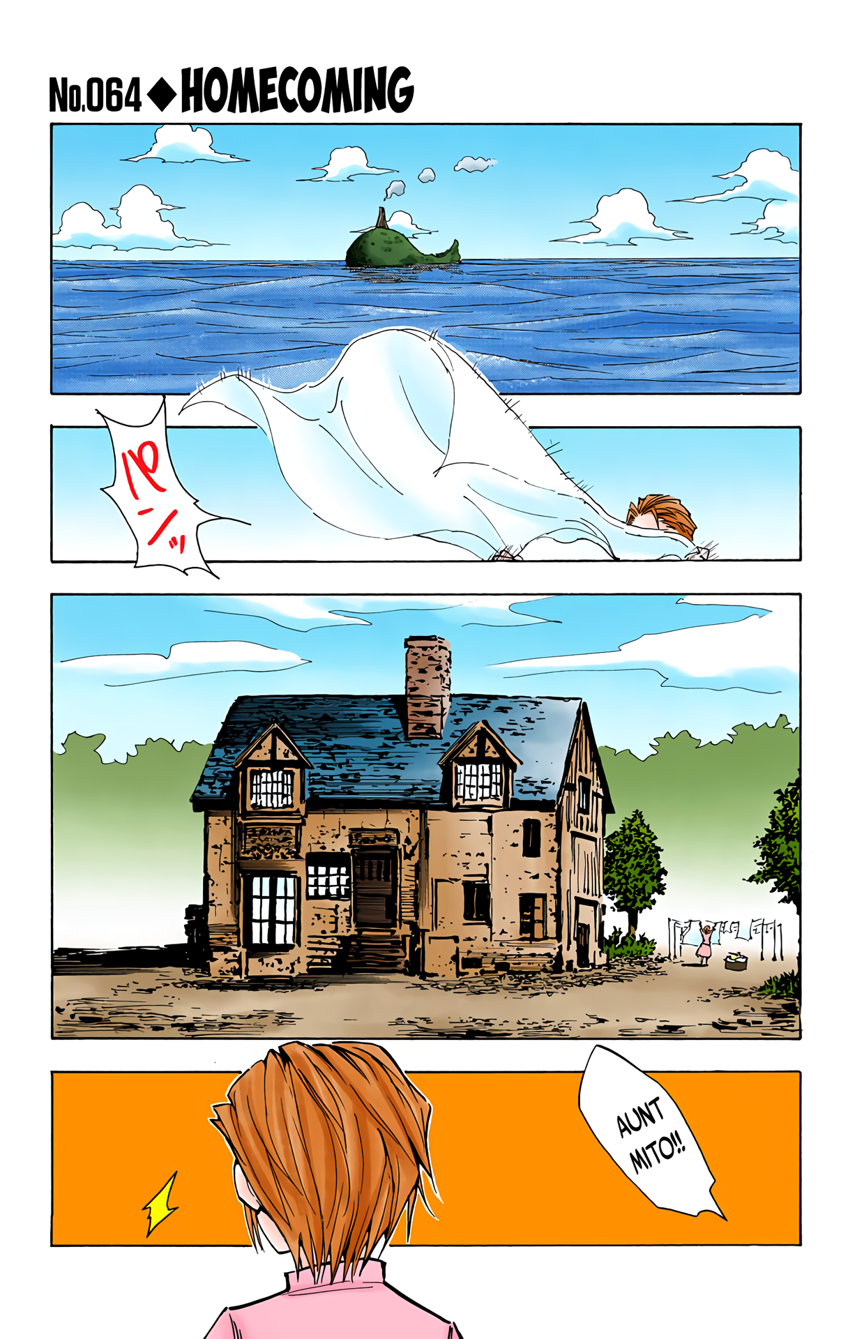 Halaman dari HUNTER x HUNTER (Official Colored) Chapter 64