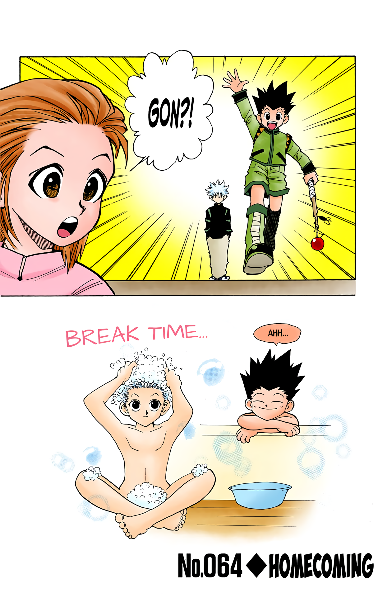 Halaman dari HUNTER x HUNTER (Official Colored) Chapter 64
