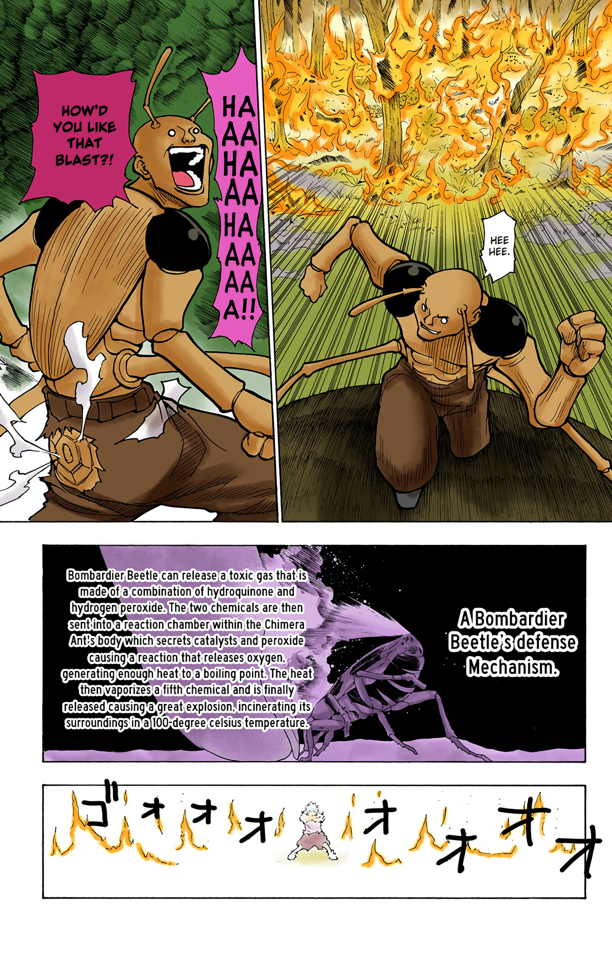 Halaman dari HUNTER x HUNTER (Official Colored) Chapter 236