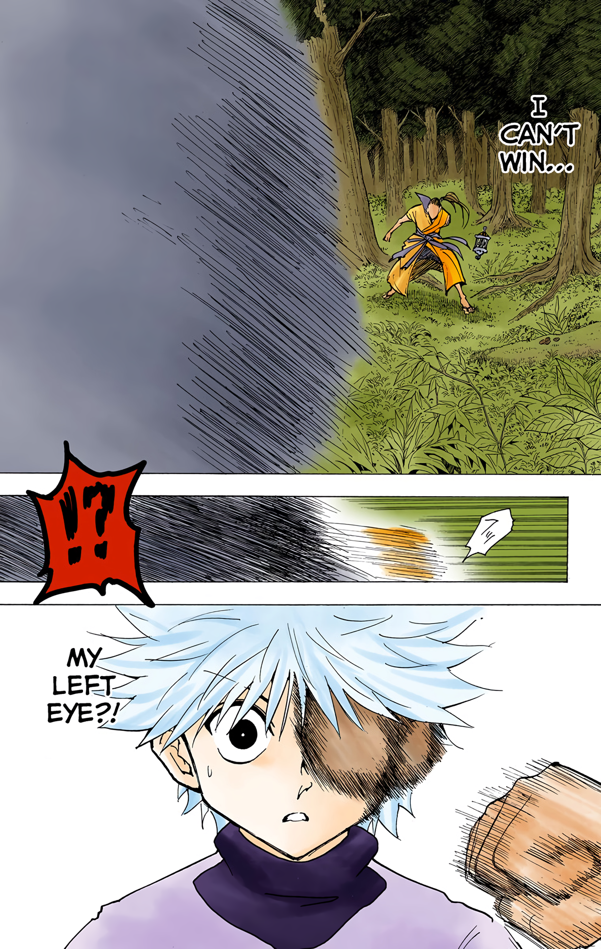 Halaman dari HUNTER x HUNTER (Official Colored) Chapter 212