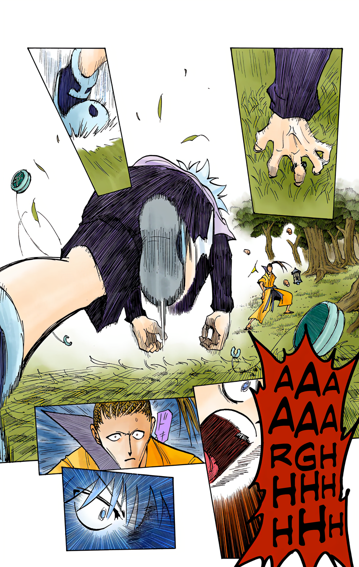 Halaman dari HUNTER x HUNTER (Official Colored) Chapter 212