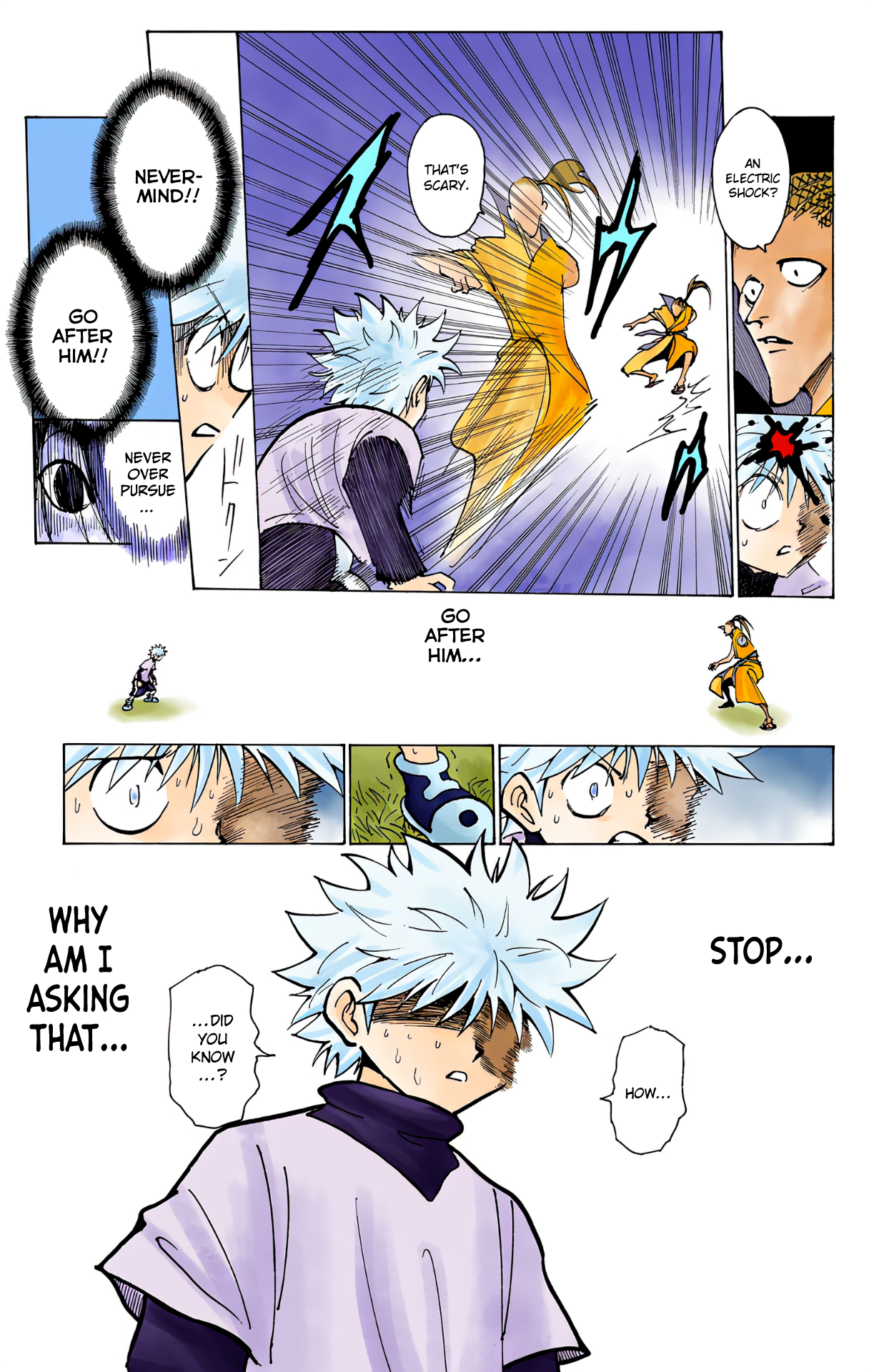Halaman dari HUNTER x HUNTER (Official Colored) Chapter 212