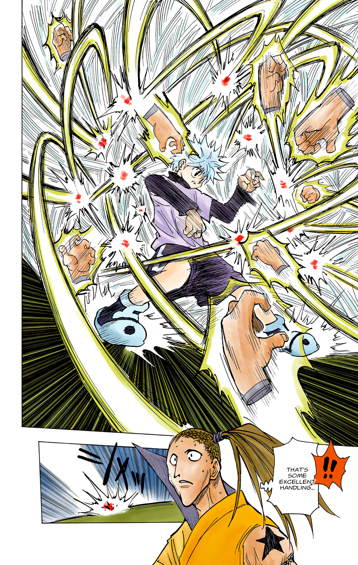 Halaman dari HUNTER x HUNTER (Official Colored) Chapter 212