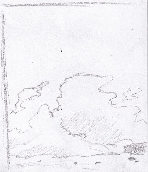 81