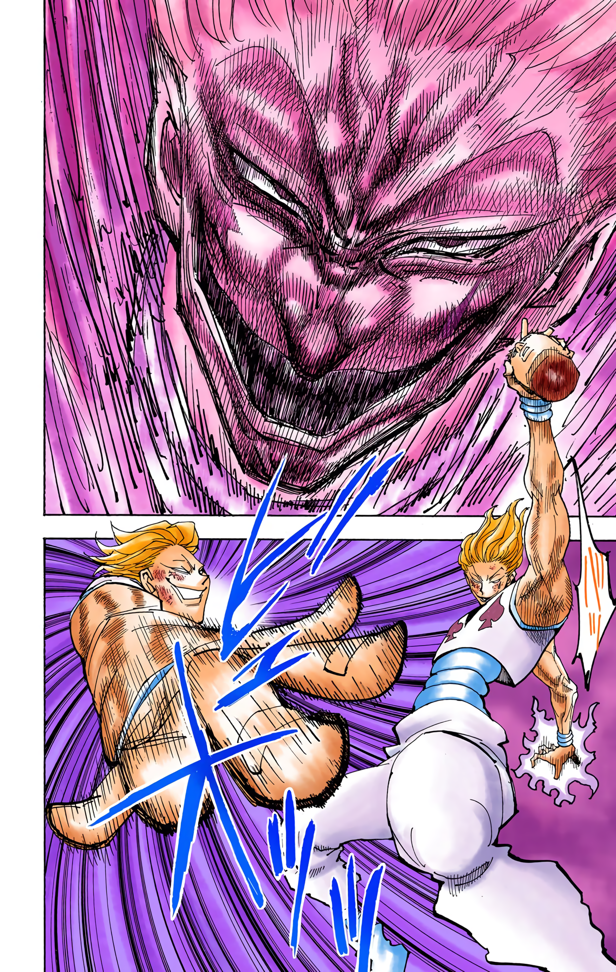Halaman dari HUNTER x HUNTER (Official Colored) Chapter 355