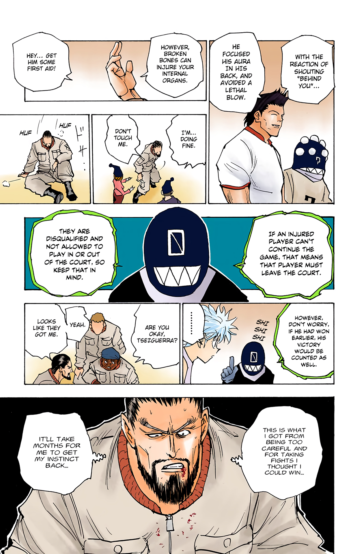 Halaman dari HUNTER x HUNTER (Official Colored) Chapter 162