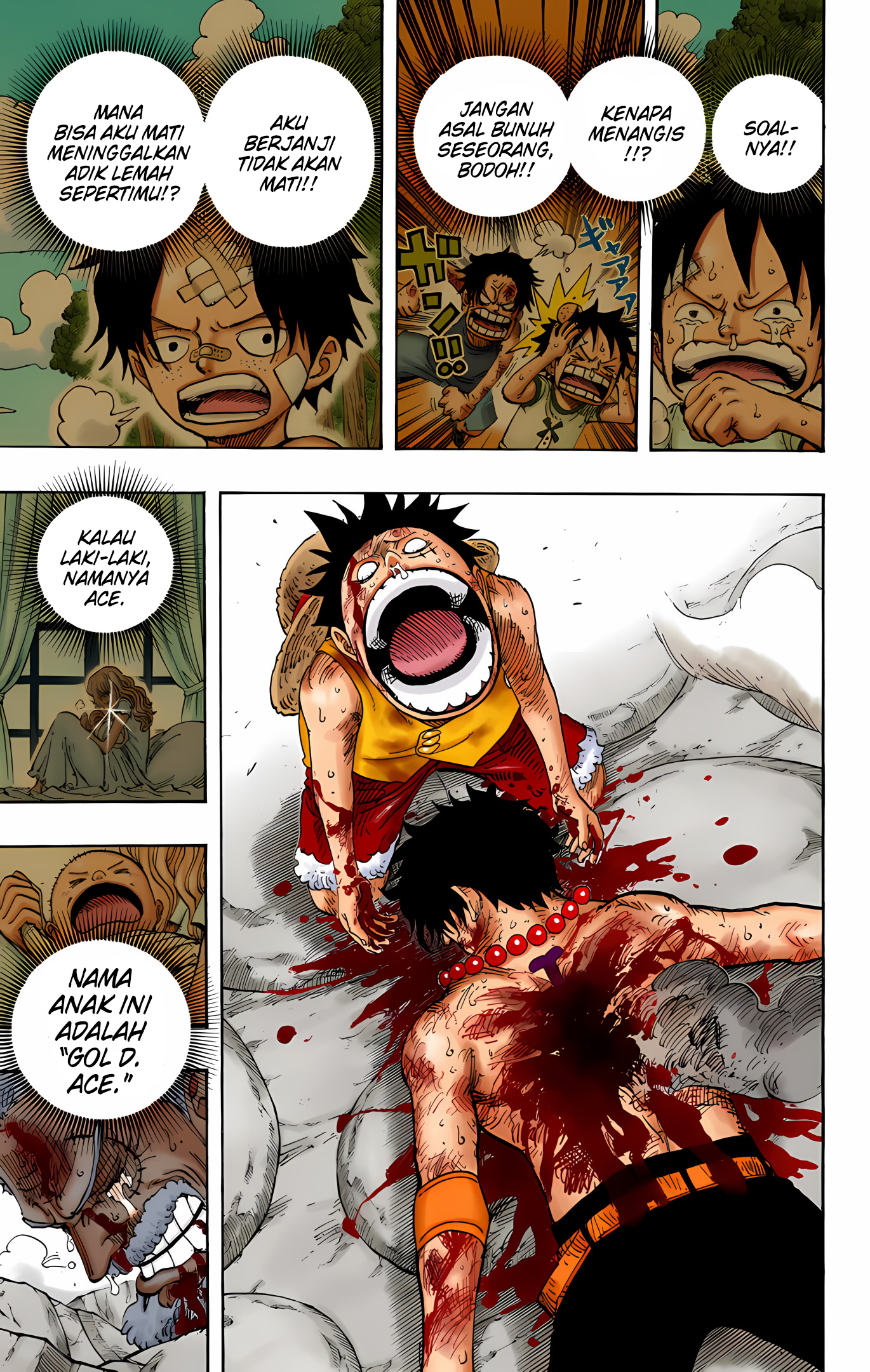 One Piece (Official Colored) Chapter 574 - halaman 19