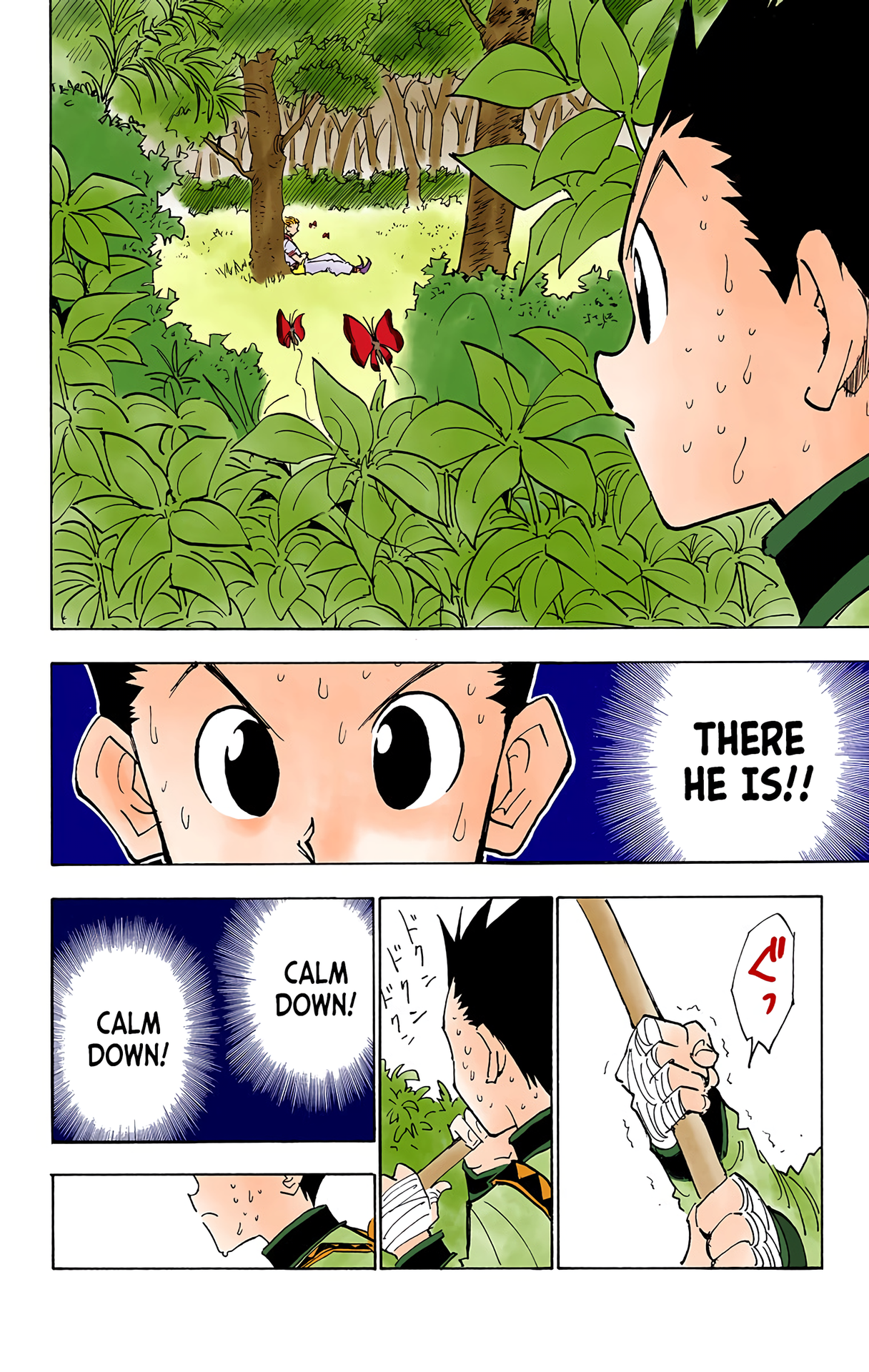 Halaman dari HUNTER x HUNTER (Official Colored) Chapter 25