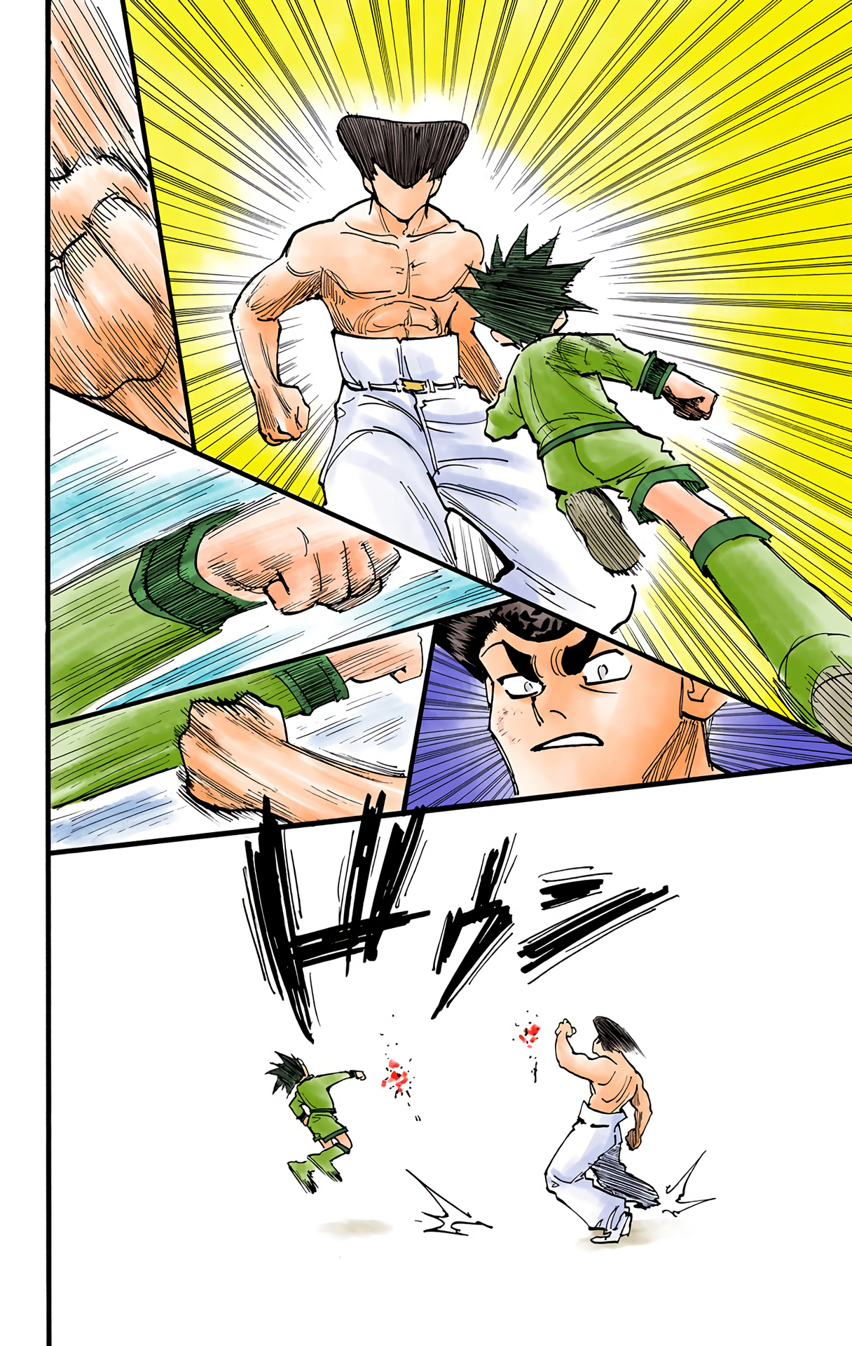 Halaman dari Hunter x Hunter (Official Colored) Chapter 211