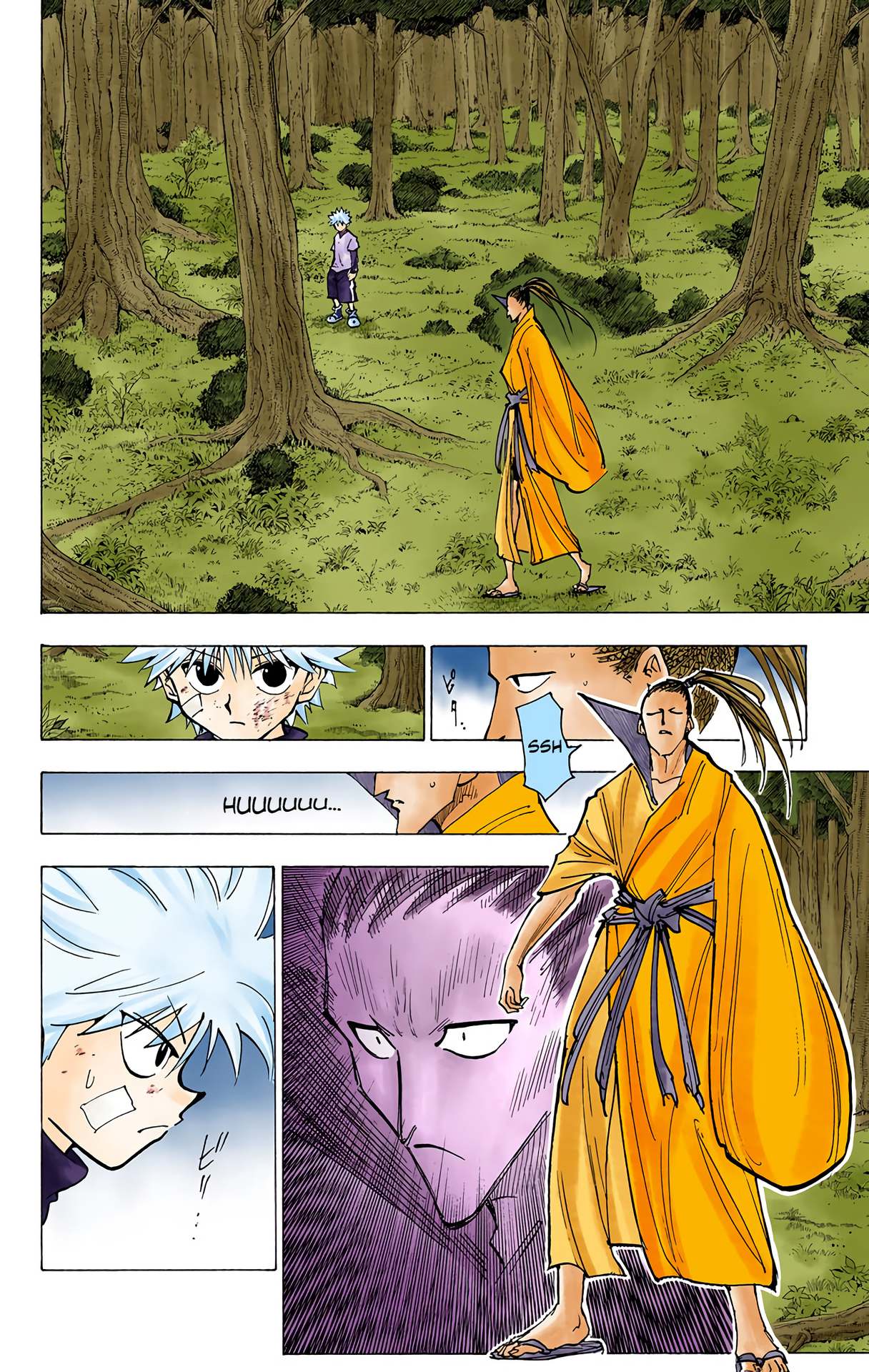 Halaman dari Hunter x Hunter (Official Colored) Chapter 211
