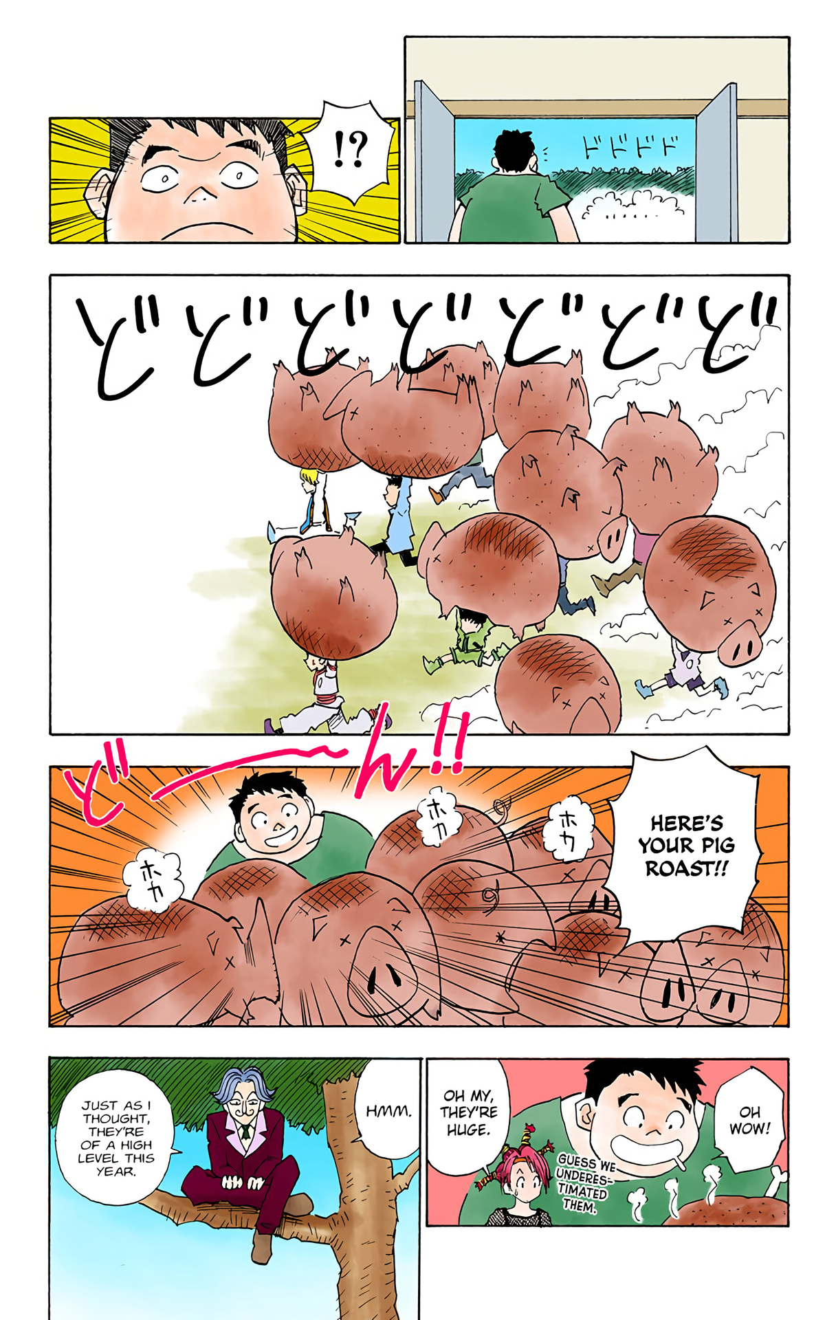 Halaman dari HUNTER x HUNTER (Official Colored) Chapter 10