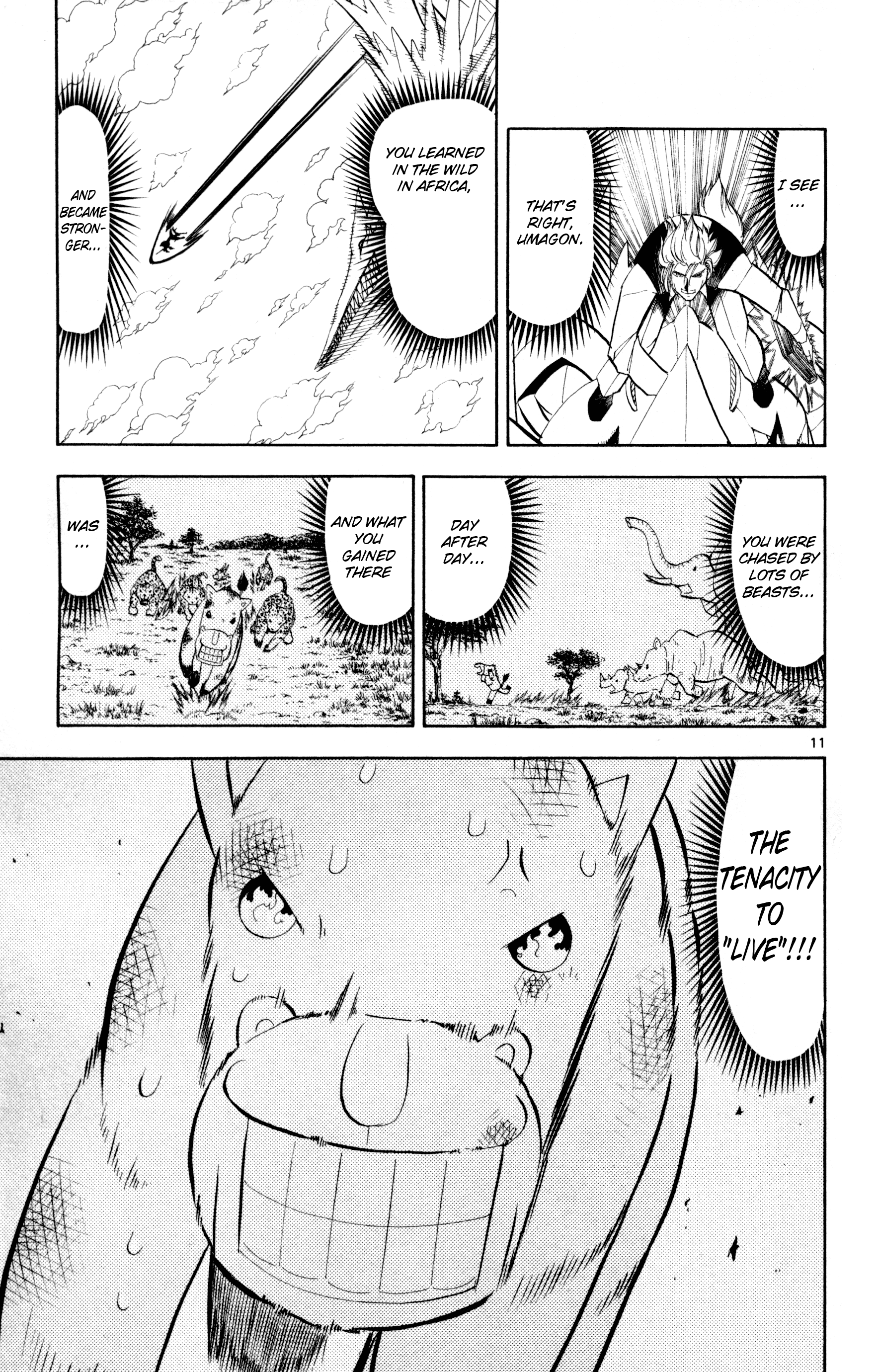 11