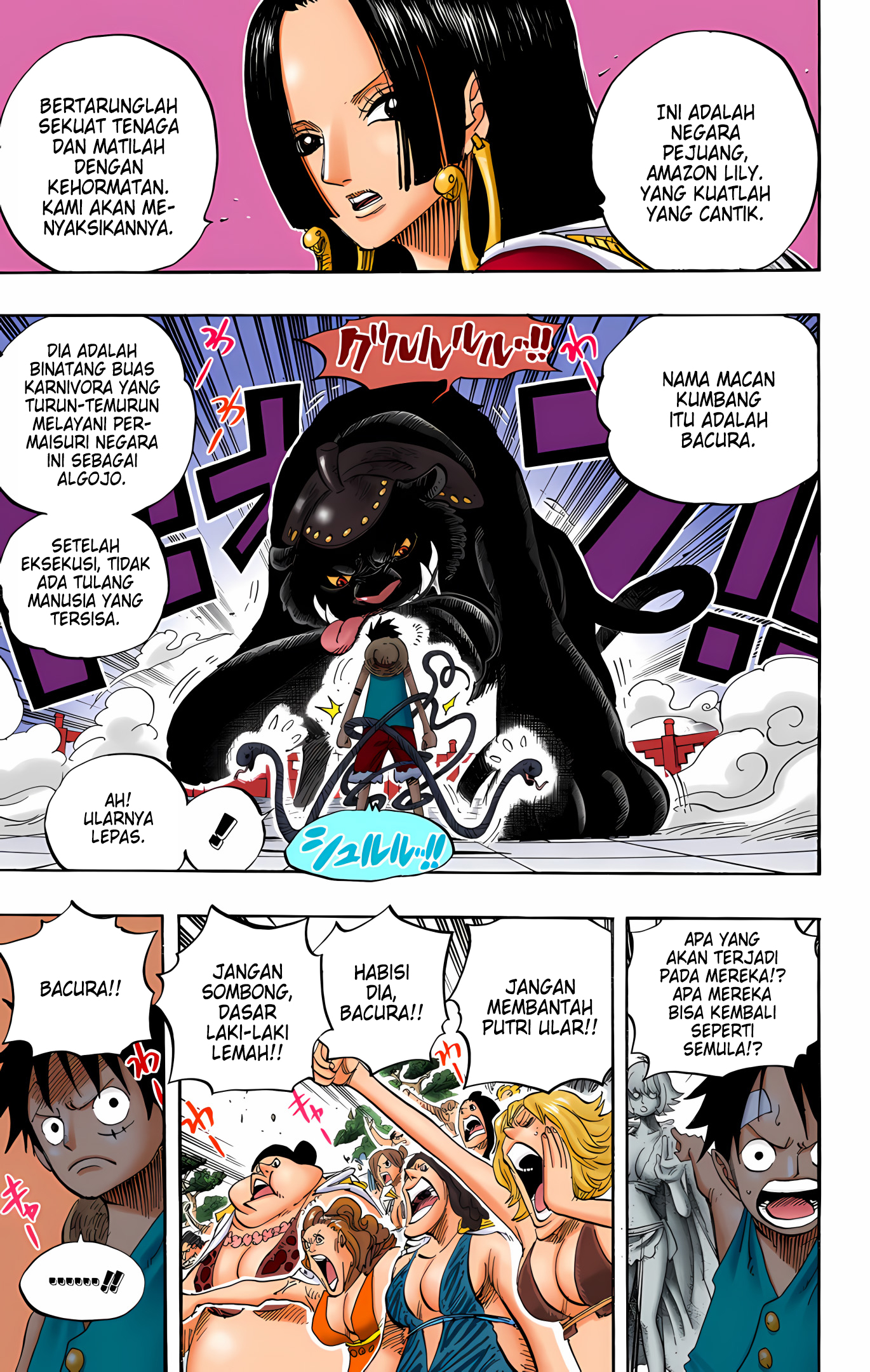 One Piece (Official Colored) Chapter 518 - halaman 13