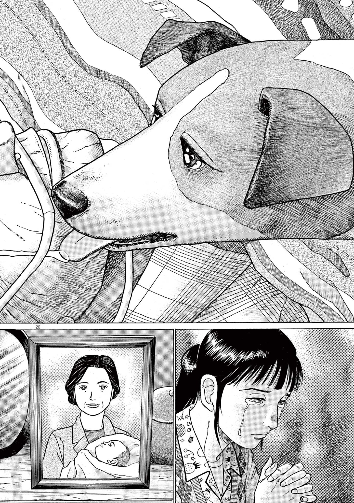 20