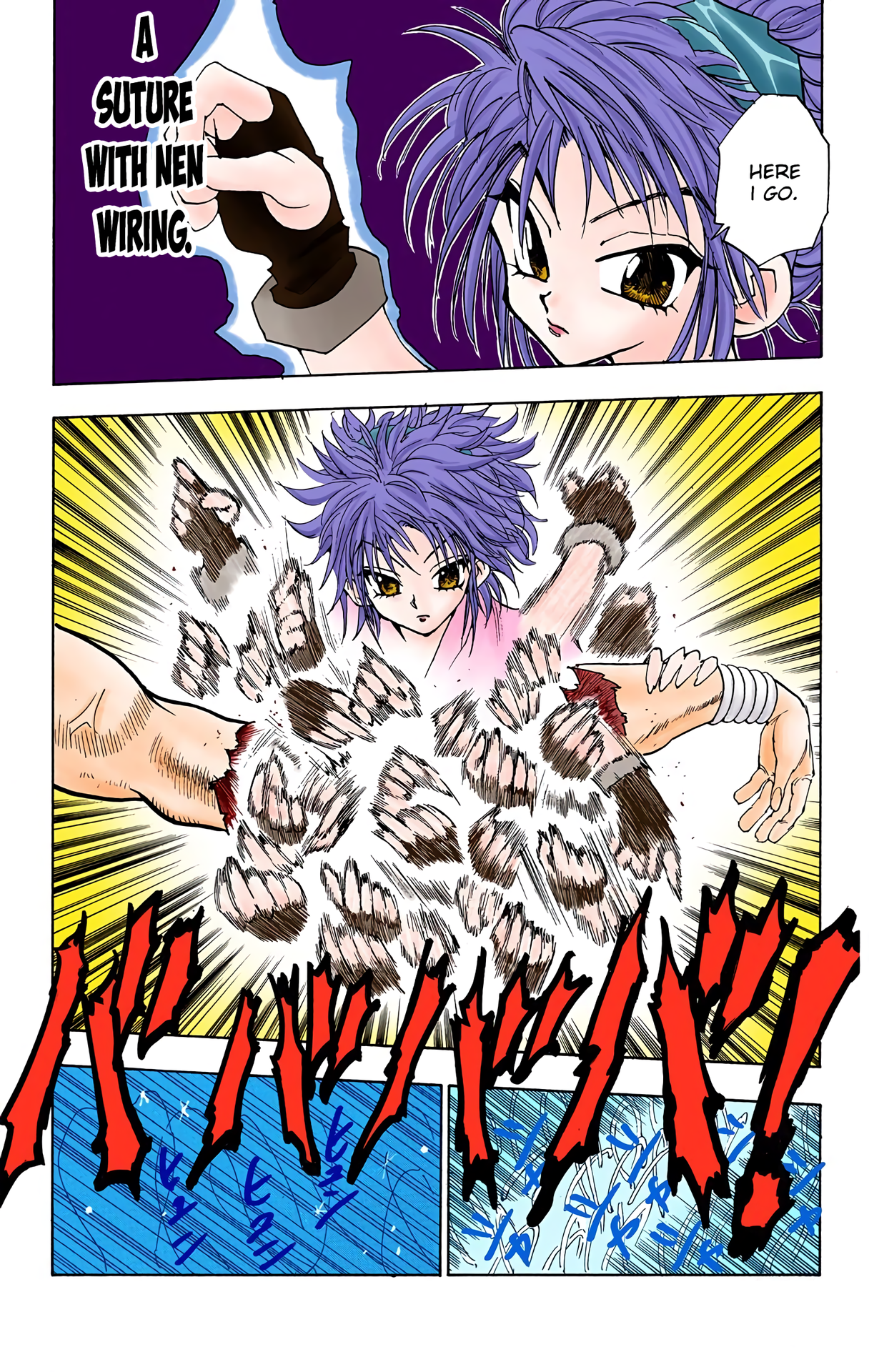 Halaman dari HUNTER x HUNTER (Official Colored) Chapter 55
