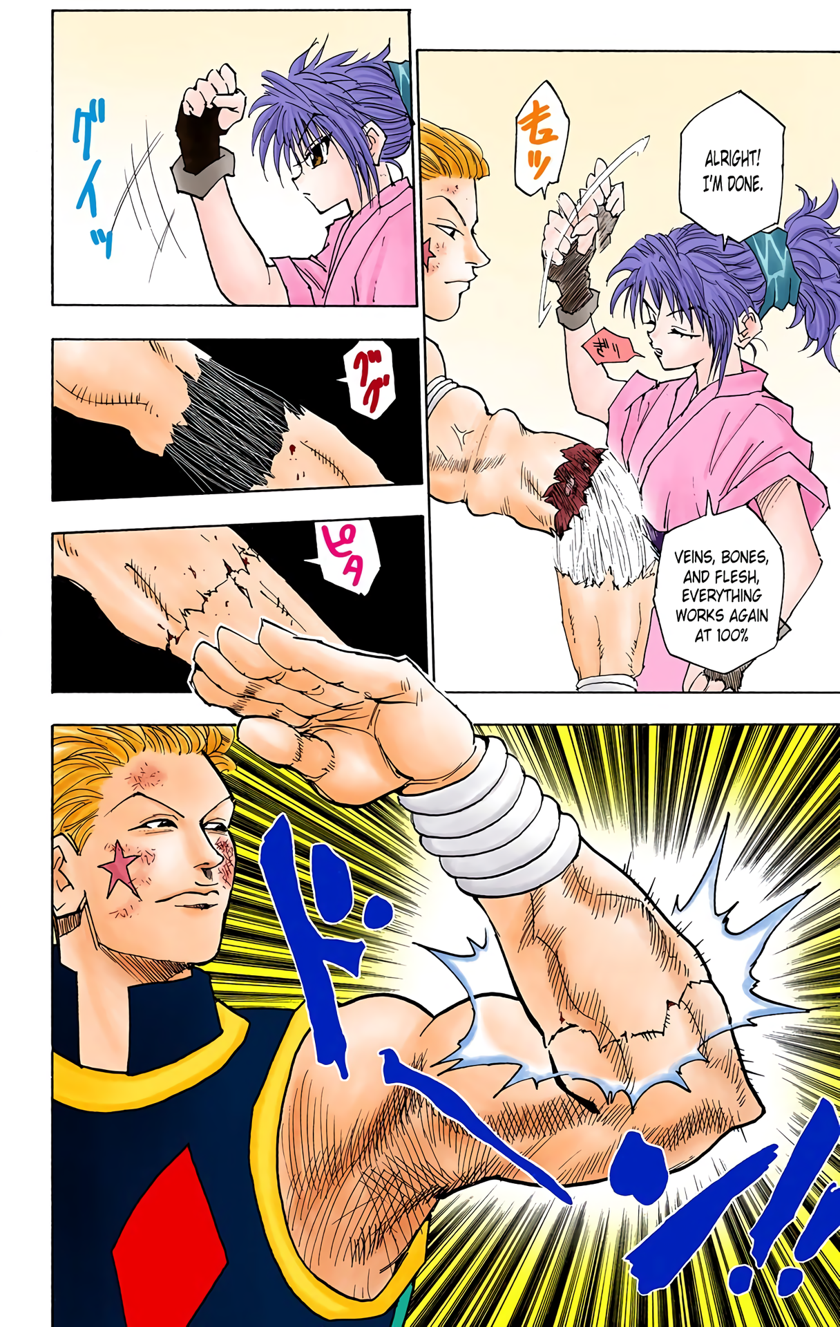Halaman dari HUNTER x HUNTER (Official Colored) Chapter 55