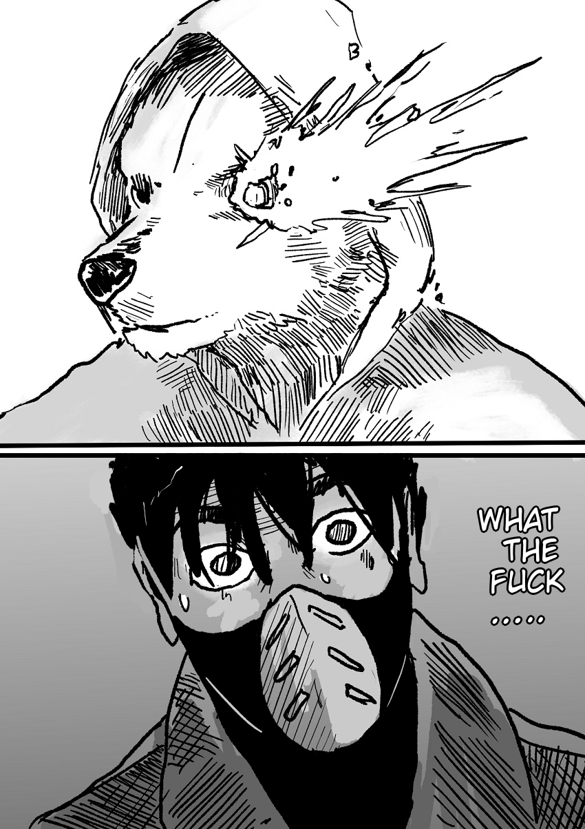 31