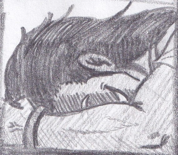 46