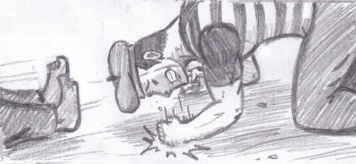 31