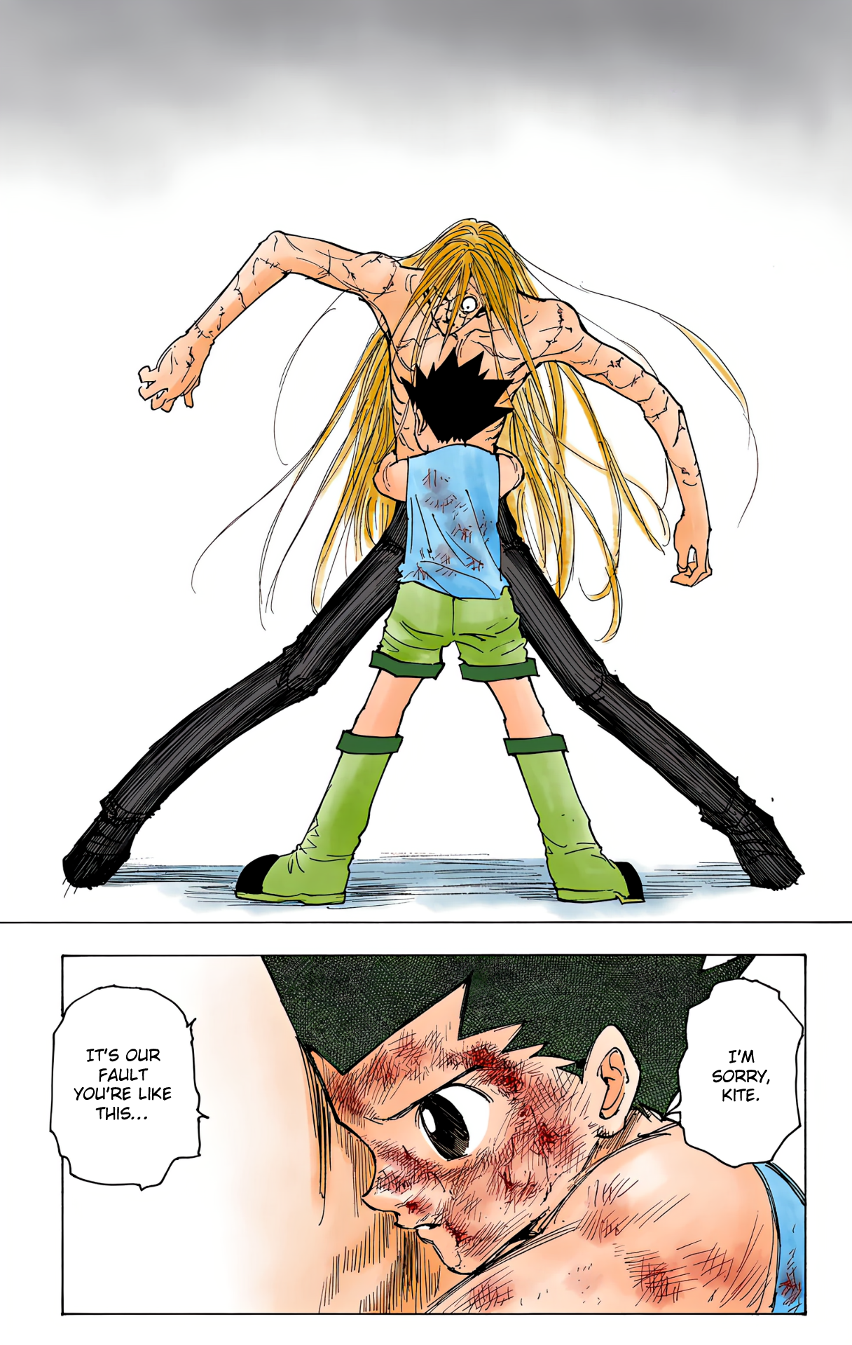 Halaman dari Hunter x Hunter (Official Colored) Chapter 222