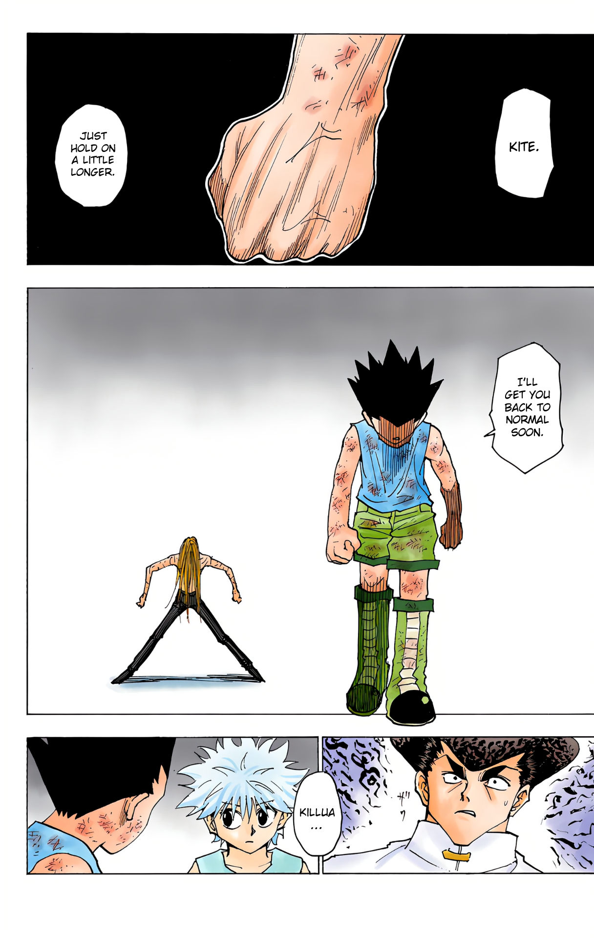 Halaman dari Hunter x Hunter (Official Colored) Chapter 222