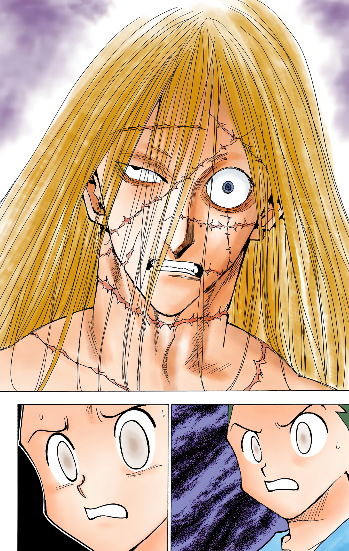 Halaman dari Hunter x Hunter (Official Colored) Chapter 222