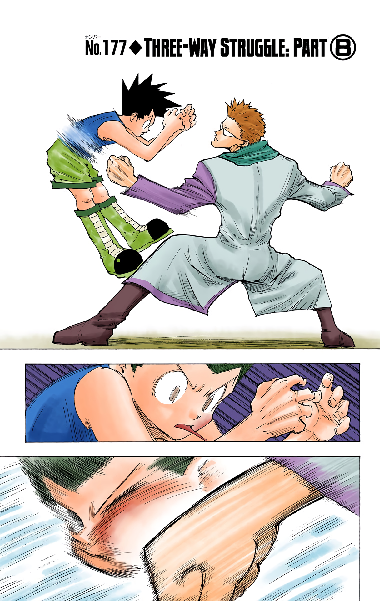 Halaman dari HUNTER x HUNTER (Official Colored) Chapter 177