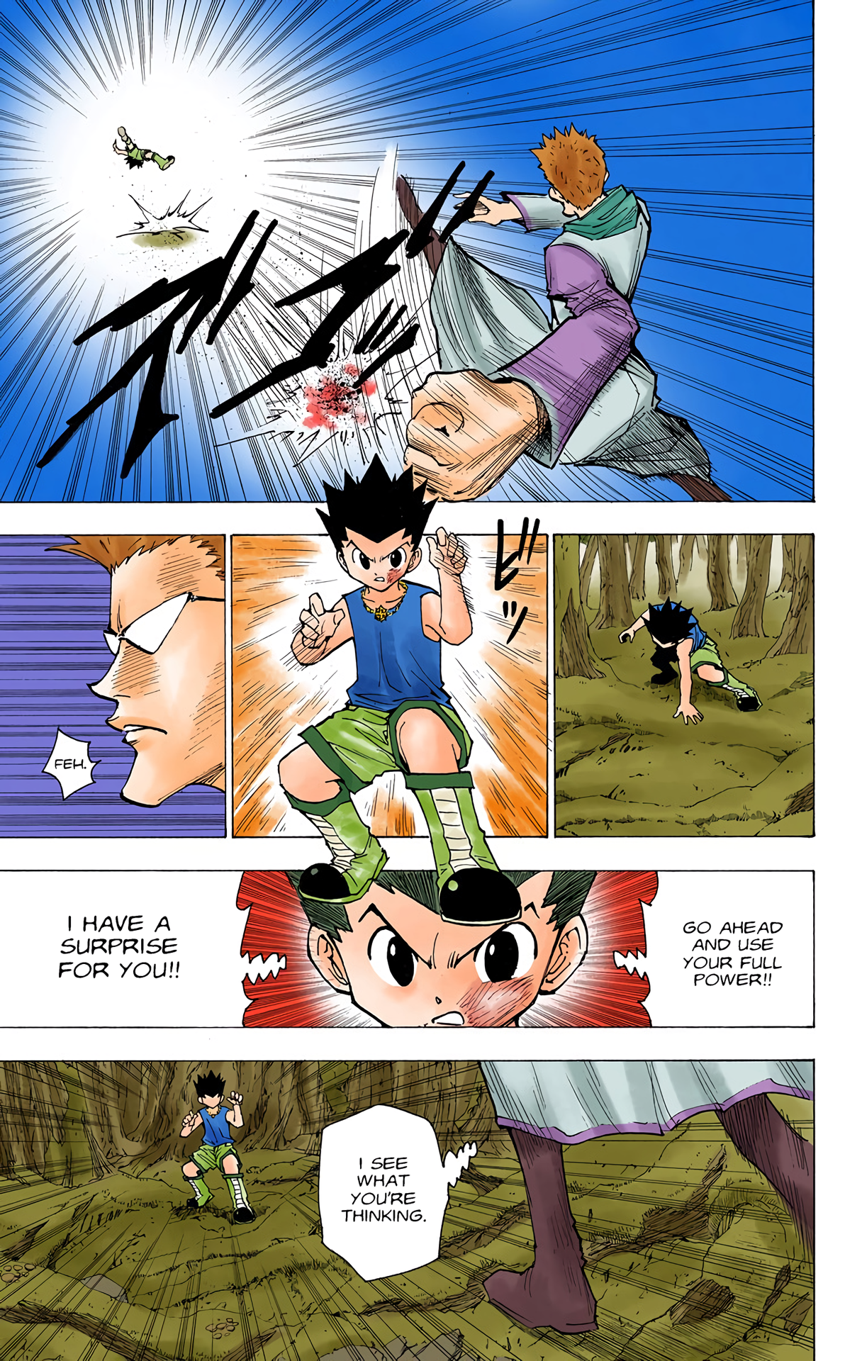 Halaman dari HUNTER x HUNTER (Official Colored) Chapter 177