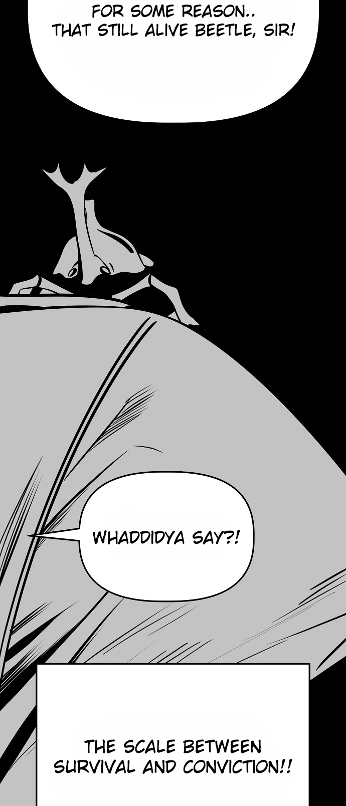 48