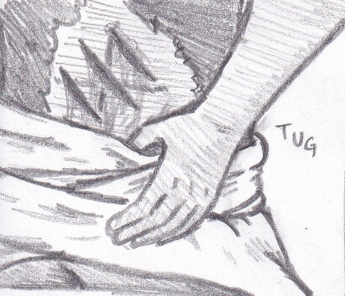 155