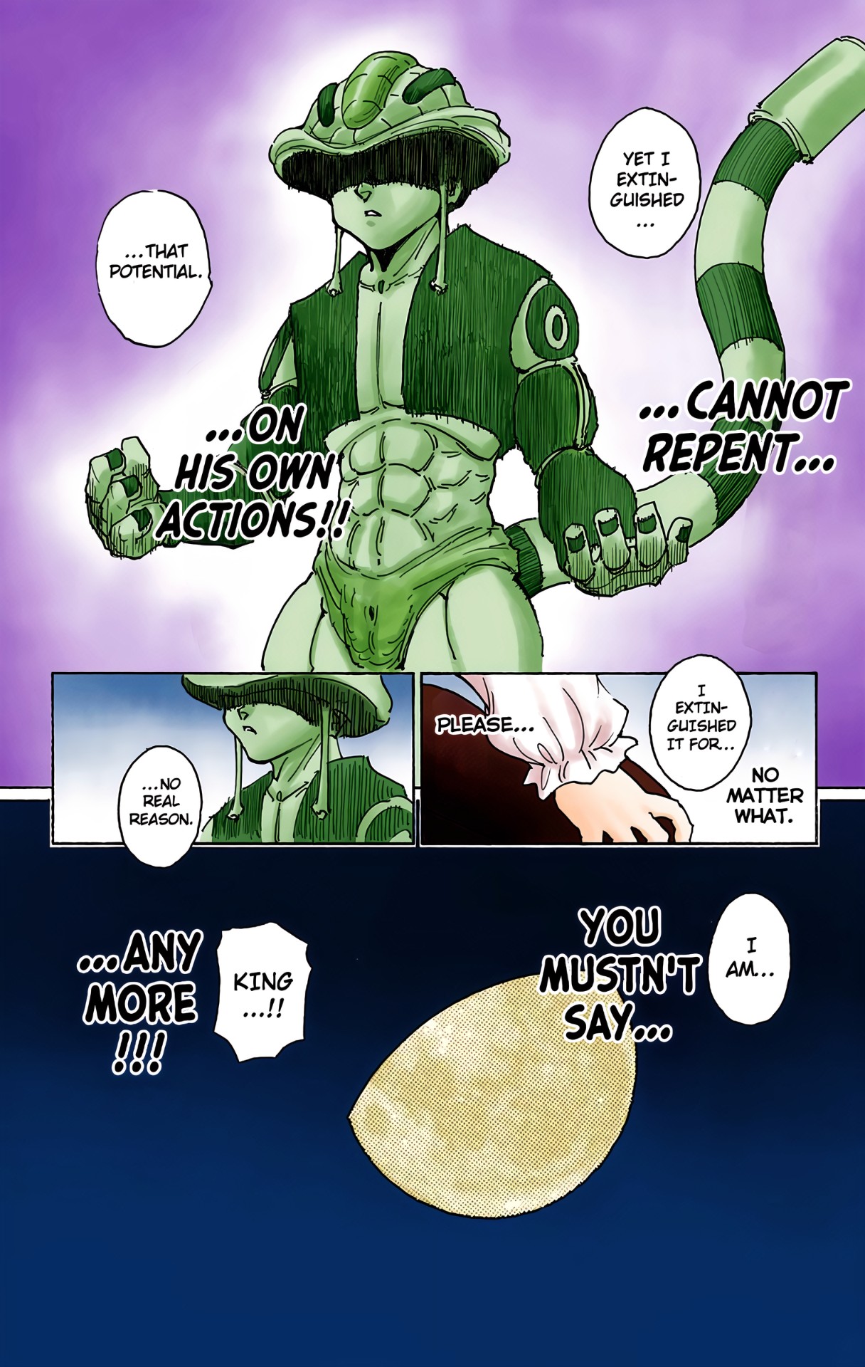 Halaman dari HUNTER x HUNTER (Official Colored) Chapter 257