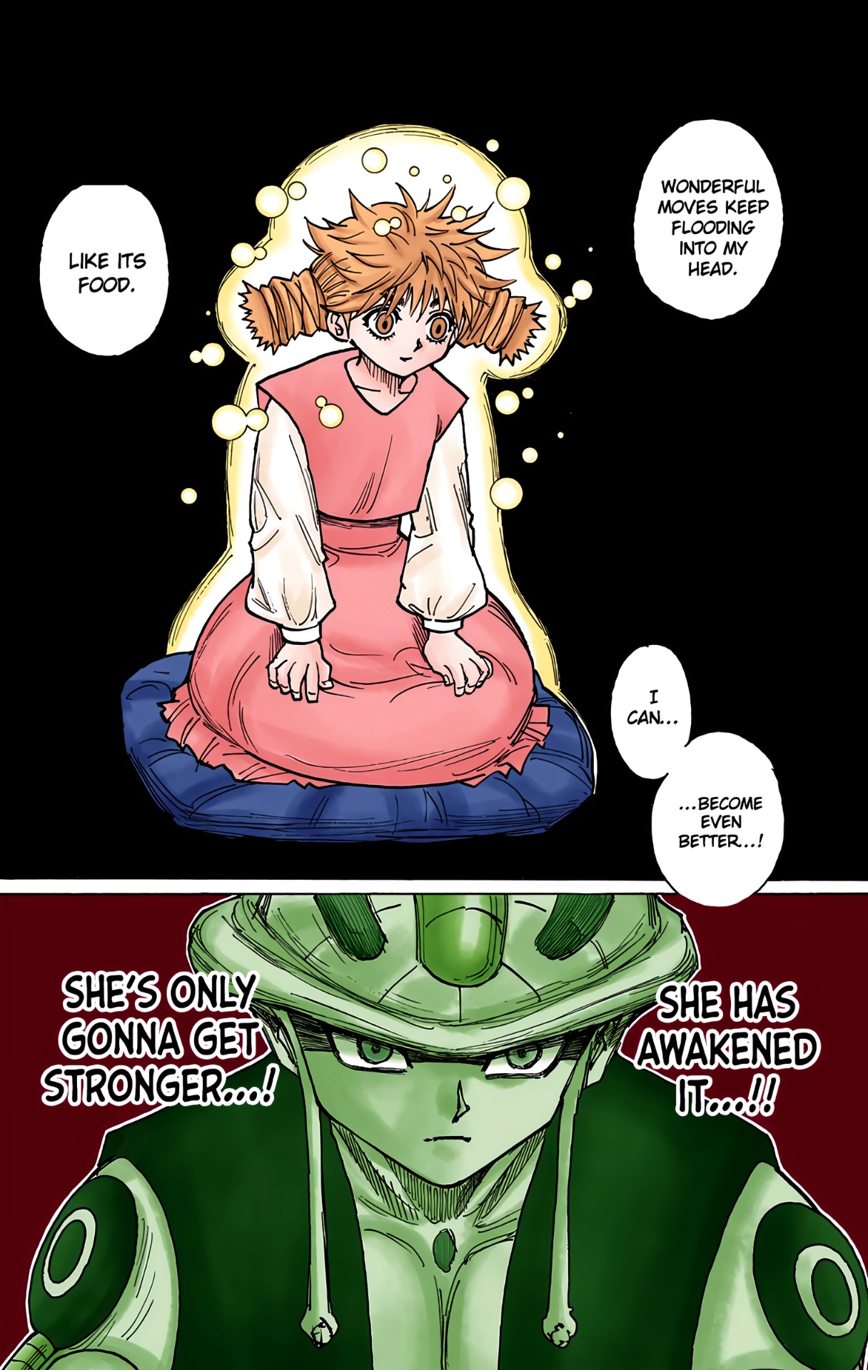 Halaman dari HUNTER x HUNTER (Official Colored) Chapter 257