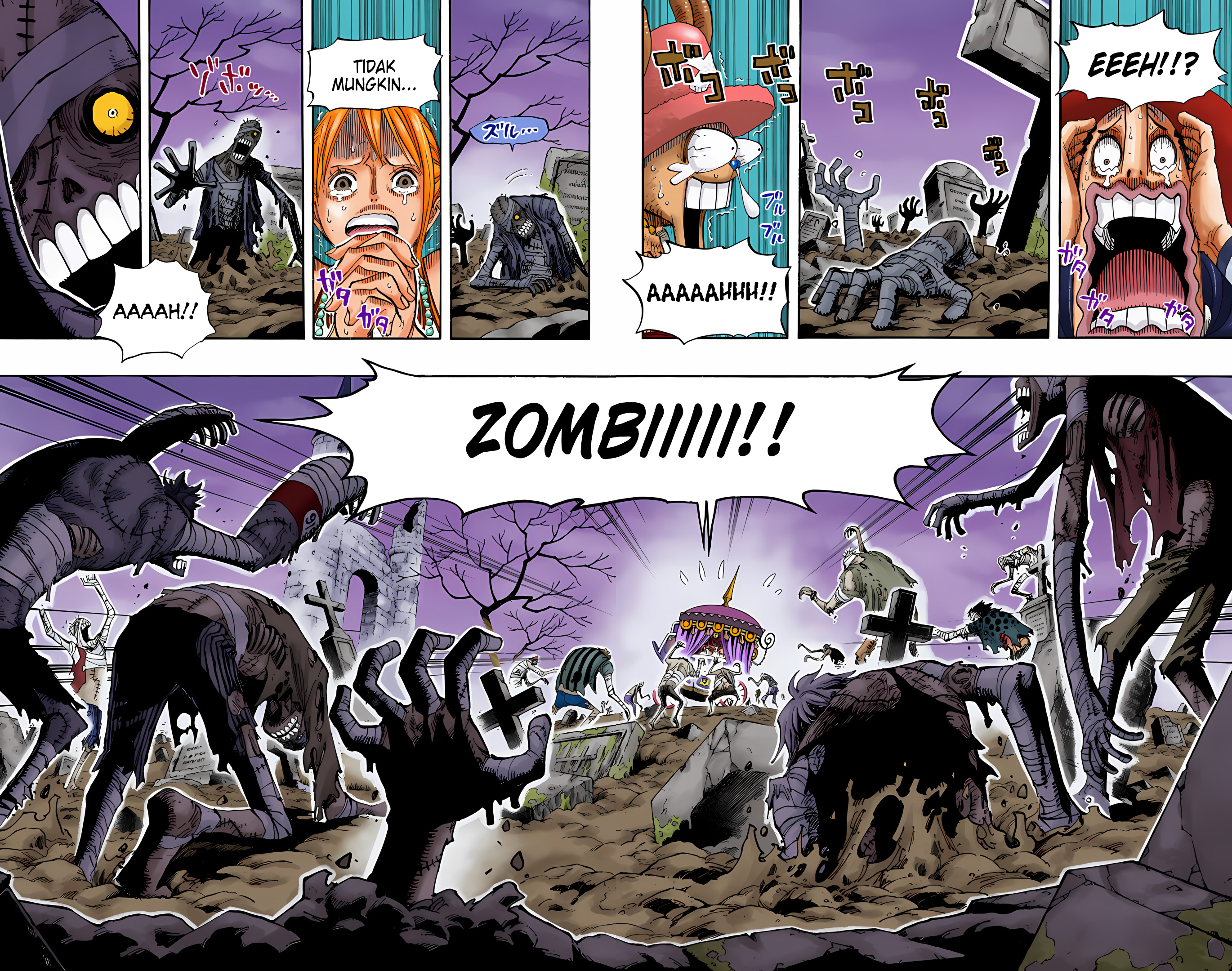 One Piece (Official Colored) Chapter 445 - halaman 11