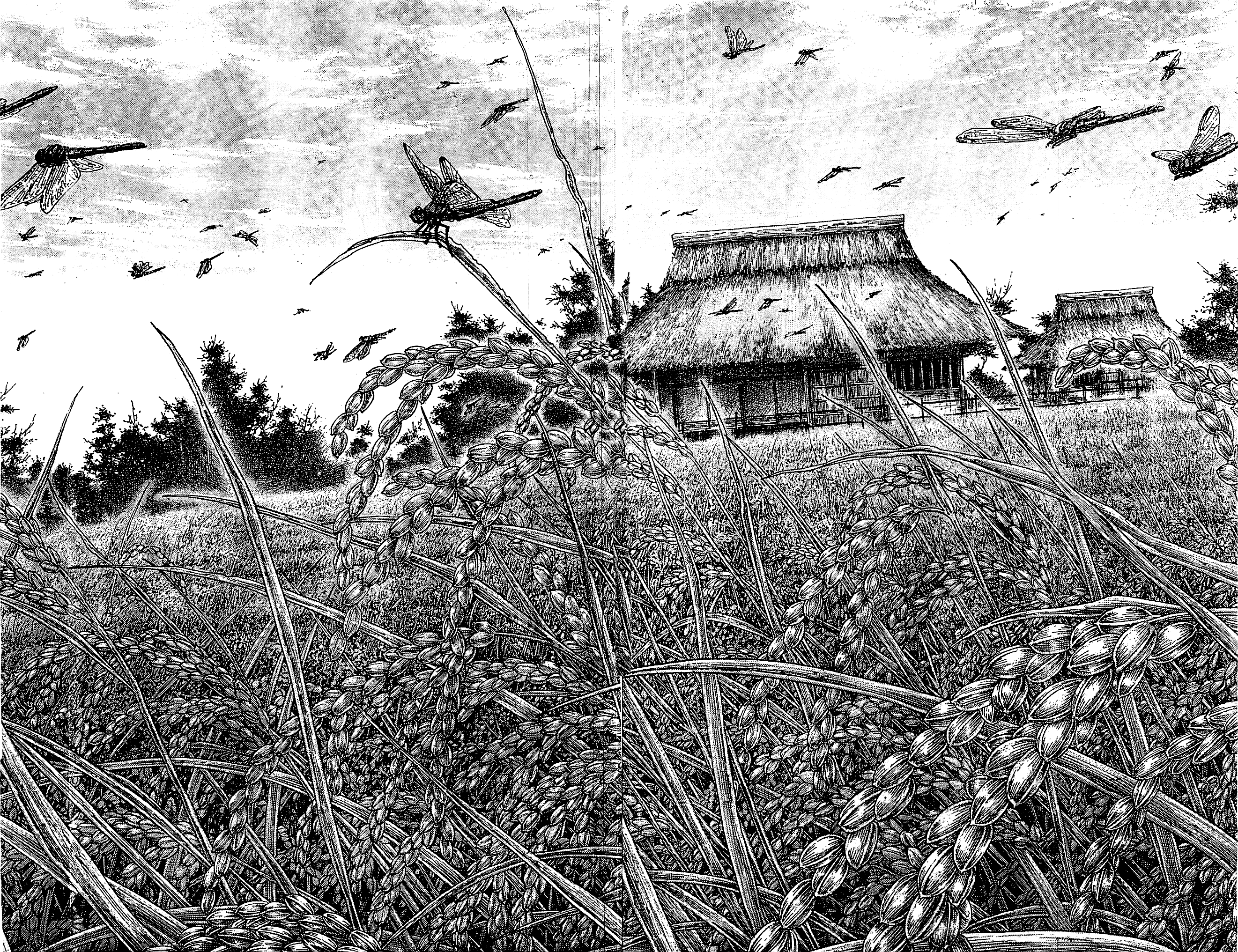 Halaman dari Vagabond Chapter 322