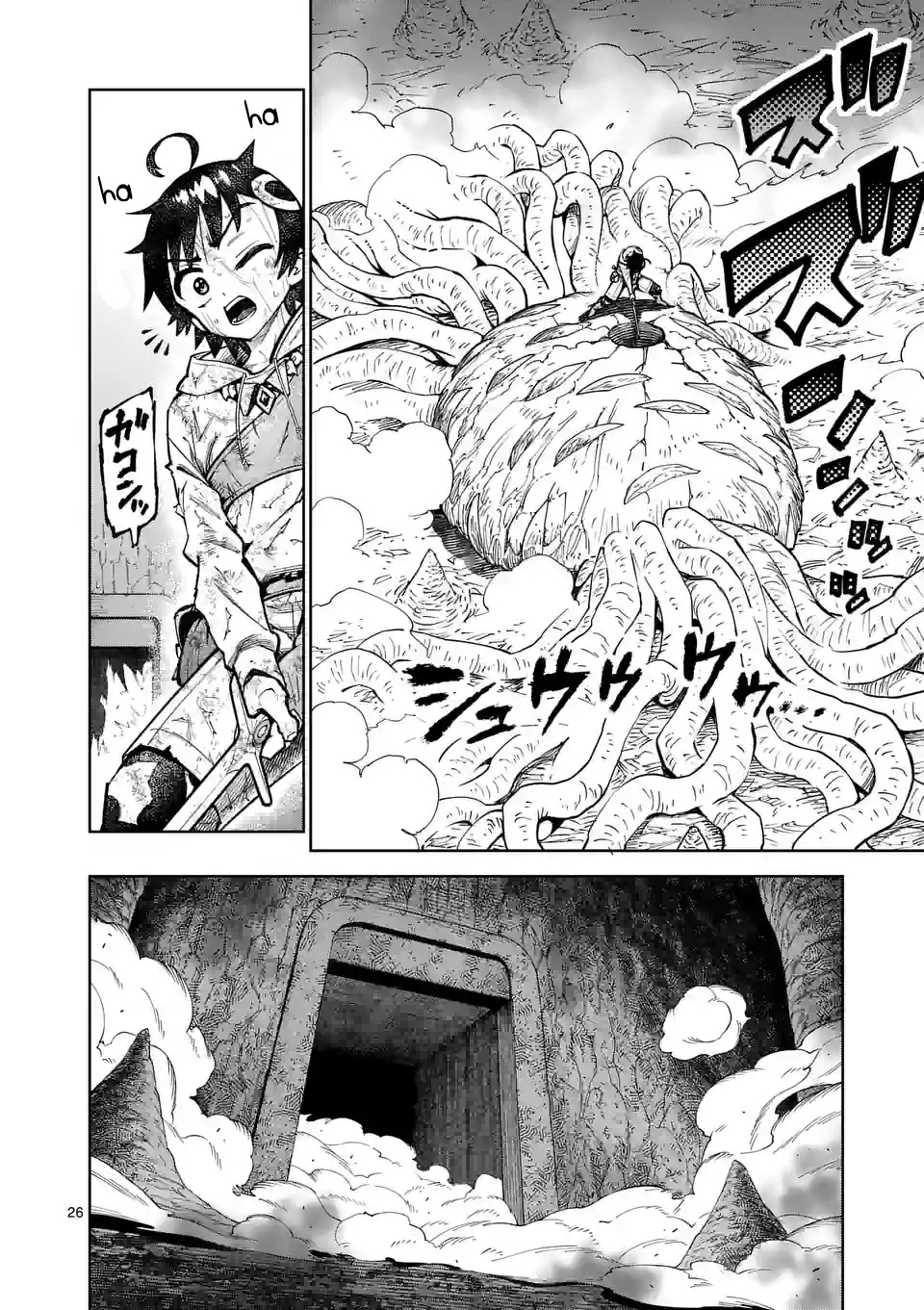 26