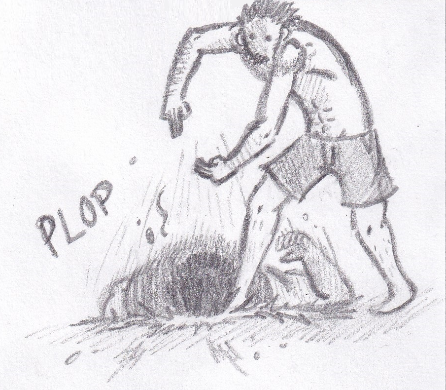 43